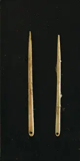 Anthropological Prints: Bone needles of Magdalenian age