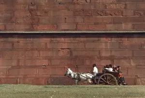 Pony Prints: A boney white horse pulls an entire family in a cart, India