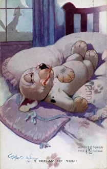 Images Dated 26th July 2011: Bonzo asleep on the bed