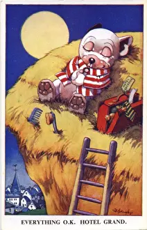 Bonzo asleep on a haystack