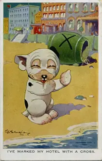 Bonzo on the beach next to a barrel