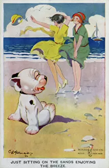 Images Dated 26th July 2011: Bonzo on the beach watching the ladies