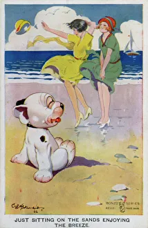 Images Dated 26th July 2011: Bonzo on the beach watching the ladies