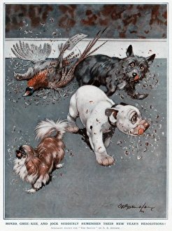 Pedigree Gallery: Bonzo, Chee-Kee and Jock by George Studdy