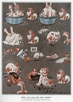 Chasing Collection: Bonzo and Chee-Kee keep smiling by George Studdy
