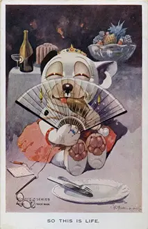 Bonzo dressed as a debutante