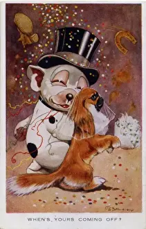 Bonzo getting married