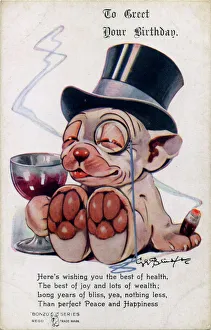 Images Dated 26th July 2011: Bonzo in top hat drinking wine