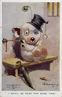 Bonzo in jail