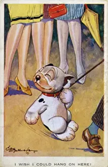 Bonzo on a leash