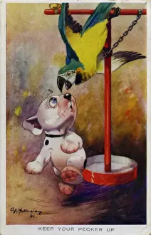 Bonzo running from a parrot