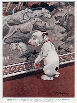 Ancestor Gallery: Bonzo in search of his forefathers by George Studdy