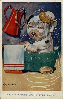 Bonzo sitting in the bath