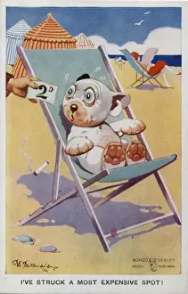 Bonzo sitting on a deckchair