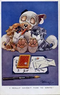 Bonzo sitting with two female pekes