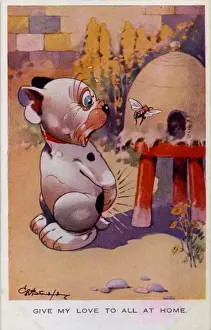 Bonzo stung by a bee