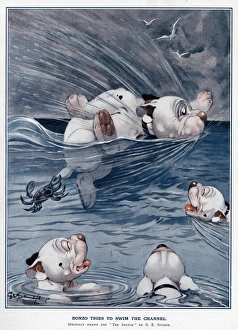 Images Dated 11th October 2017: Bonzo tries to swim the channel by George Studdy