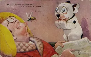 Bonzo watching a wasp / hornet