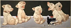 Bonzos Prints: Five Bonzos laugh as a small black kitten takes their bone