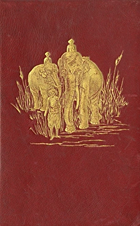 Images Dated 17th January 2017: Book cover - The Jungle Book