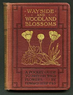 Step Collection: Book cover, Wayside and Woodland Blossoms
