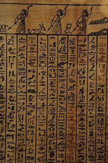 Alphabet Collection: Book of the Dead. Fragment. Egypt