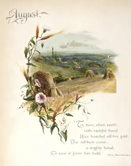 Cornfield Prints: Book illustration -- August