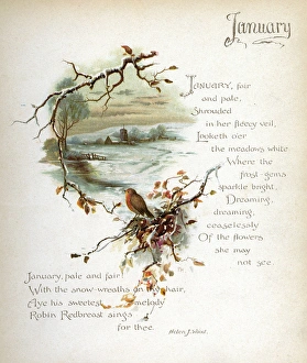 Robin with Winter Scene