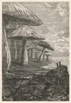 Book / Verne / Centre Earth