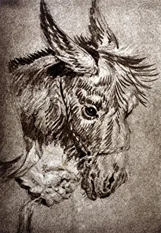 Stevenson Prints: Books / Stevenson Donkey
