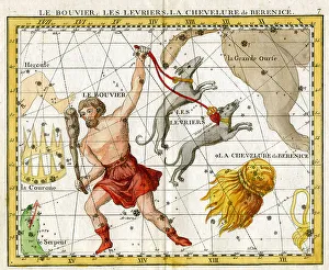 Celestial Prints: Boots, Hounds and Hair