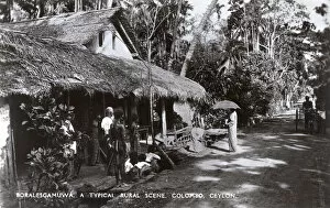 Shady Collection: Boralesgamuwa, near Colombo, Ceylon (Sri Lanka)