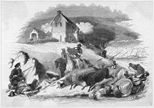 Steal Prints: Border Cattle Raid