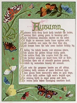 Border Showing Autumn