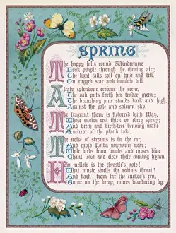 Border Showing Spring