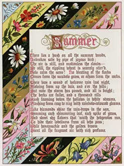 Honey Suckle Prints: Border Showing Summer