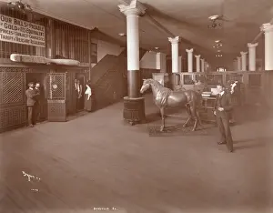 Borgfeldt Department Store, New York