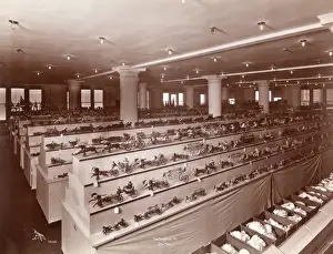 Borgfeldt Department Store, New York