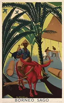 Sago Prints: Borneo Sago poster