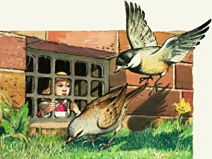 Images Dated 8th November 2007: The Borrowers
