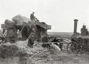Engaged Prints: Borstal Inmates Farm Work