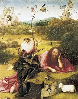 Bosch, Hieronymus Van Aeken, called (1450-1516)