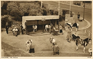 Prams Gallery: Boscombe Promenade, Hampshire - Pony Rides