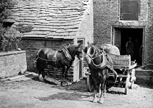 Flour Prints: Bosley Mill, Cheshire, early 1900s