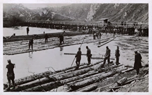 Images Dated 24th March 2017: Bosnia and Herzegovina - Drvar - Timber industry
