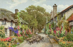 Bossington, Exmoor, Somerset