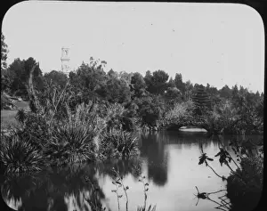 Botanic Gardens