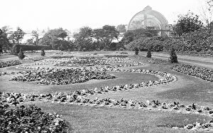 Botanic Collection: Botanic Gardens Liverpool early 1900s