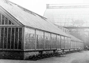 Images Dated 13th April 2021: Botanic Gardens Liverpool early 1900s