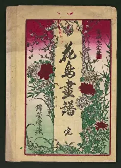 Botanical book illustration (or possibly at one time an enve